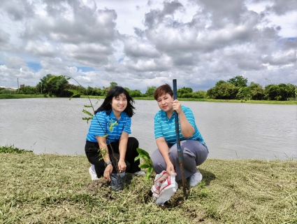 ไฟล์แนบ การประปาส่วนภูมิภาคสาขาบางปะกง จัดกิจกรรม ปลูกป่าเพื่อแผ่นดิน เทิดพระเกียรติพระบาทสมเด็จพระบรมชนกาธิเบศรมหาภูมิพลอดุลยเดชมหาราช บรมนาถบพิตร