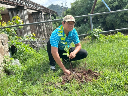 ไฟล์แนบ การประปาส่วนภูมิภาคสาขาหลังสวน ดำเนินงานโครงการ กปภ. ปลูกป่าเพื่อแผ่นดิน เทิดพระเกียรติพระบาทสมเด็จพระบรมชนกาธิเบศร มหาภูมิพลอดุลยเดชมหาราช บรมนาถบพิตร ปี 2569 