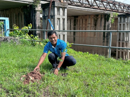ไฟล์แนบ การประปาส่วนภูมิภาคสาขาหลังสวน ดำเนินงานโครงการ กปภ. ปลูกป่าเพื่อแผ่นดิน เทิดพระเกียรติพระบาทสมเด็จพระบรมชนกาธิเบศร มหาภูมิพลอดุลยเดชมหาราช บรมนาถบพิตร ปี 2569 
