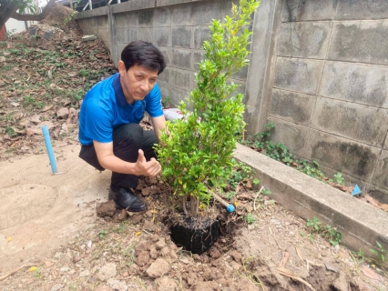 ไฟล์แนบ กปภ.สาขาชัยนาท ดำเนินโครงการ กปภ.ปลูกป่าเพื่อแผ่นดิน เทิดพระเกียรติพระบาทสมเด็จพระบรมชนกาธิเบศร มหาภูมิพลอดุลยเดชมหาราช บรมนาถบพิตร ประจำปี 2569