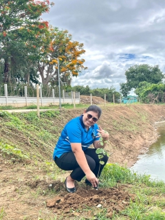 ไฟล์แนบ กปภ.สาขาปราณบุรี  จัดกิจกรรมโครงการ กปภ.ปลูกป่าเพื่อแผ่นดิน เทิดพระเกียรติพระบาทสมเด็จพระบรมชนกาธิเบศร มหาภูมิพลอดุลยเดชมหาราช บรมนาถบพิตร (Fathers Land) ปี 2569