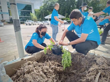 ไฟล์แนบ กปภ.สาขารังสิต(พ) รวมใจจัดกิจกรรม กปภ.ปลูกป่าเพื่อแผ่นดิน 2569 มุ่งเพิ่มพื้นที่สีเขียวอย่างยั่งยืน