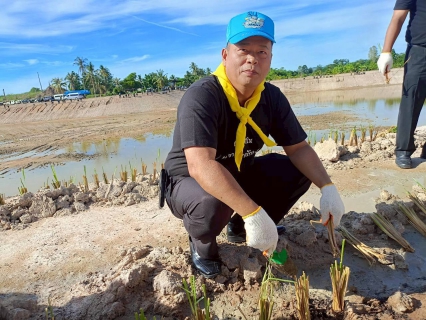 ไฟล์แนบ การประปาส่วนภูมิภาคสาขาเพชรบุรี เข้าร่วมกิจกรรมปลูกหญ้าแฝกรอบพื้นที่โครงการแก้มลิงลำห้วยใหญ่