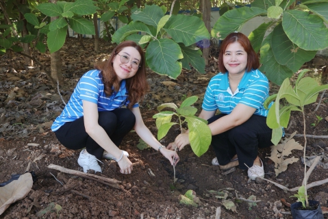 ไฟล์แนบ กปภ.สาขาปทุมธานี(พ) จัดโครงการ กปภ.ปลูกป่าเพื่อแผ่นดิน เพื่อเทิดพระเกียรติ ปลูกฝังและสร้างจิตสำนึกให้กับพนักงาน ประจำปี 2569