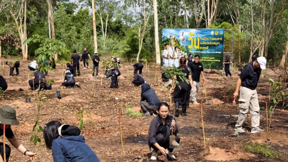 ไฟล์แนบ การประปาส่วนภูมิภาคสาขาลำพูน โดยนายศุภกฤษณ์  จันทร์ศุภเสน ผู้จัดการการประปาส่วนภูมิภาคสาขาลำพูน มอบหมายให้นายวิกรานต์ รักรุ่งโรจน์ หัวหน้างานบริการและควบคุมน้ำสูญเสีย พร้อมพนักงาน เข้าร่วมกิจกรรม วันต้นไม้ประจำปี 2569  วันจันทร์ที่ 15 มิถุนายน 2569 เวลา 09.00 น. ณ บริเวณป่าชุมชนบ้านหนองไซ ตำบลป่าสัก อำเภอเมืองลำพูน จังหวัดลำพูน นายปิยพงศ์ ชูวงศ์ ผู้ว่าราชการจังหวัดลำพูน มอบหมายให้นายโยธิน ประสงค์ความดี รองผู้ว่าราชการจังหวัดลำพูน เป็นประธานเปิดกิจกรรมวันต้นไม้ประจำปีของชาติ พ.ศ.2569