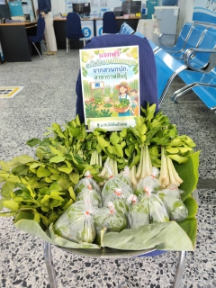 ไฟล์แนบ กปภ.สาขากาฬสินธุ์ ร่วมสร้างชุมชนสีเขียว แบ่งปันความสุขจากสวนสู่ประชาชน