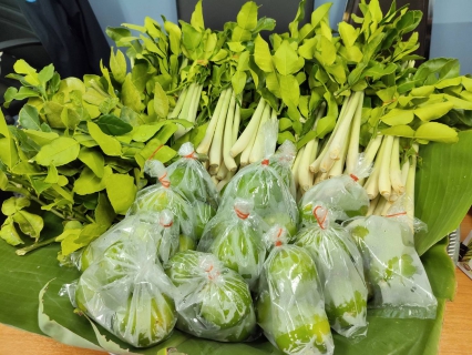 ไฟล์แนบ กปภ.สาขากาฬสินธุ์ ร่วมสร้างชุมชนสีเขียว แบ่งปันความสุขจากสวนสู่ประชาชน