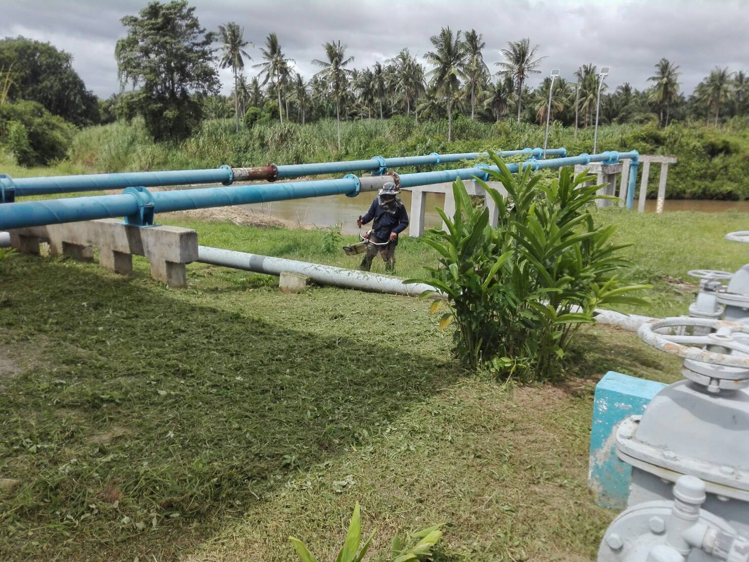 การประปาส่วนภูมิภาคสาขาบางสะพาน ร่วมกันจัดกิจกรรมรณรงค์รักษาความสะอาด (Big Cleaning Day) ที่สถานีผลิตจ่ายน้ำร่อนทอง