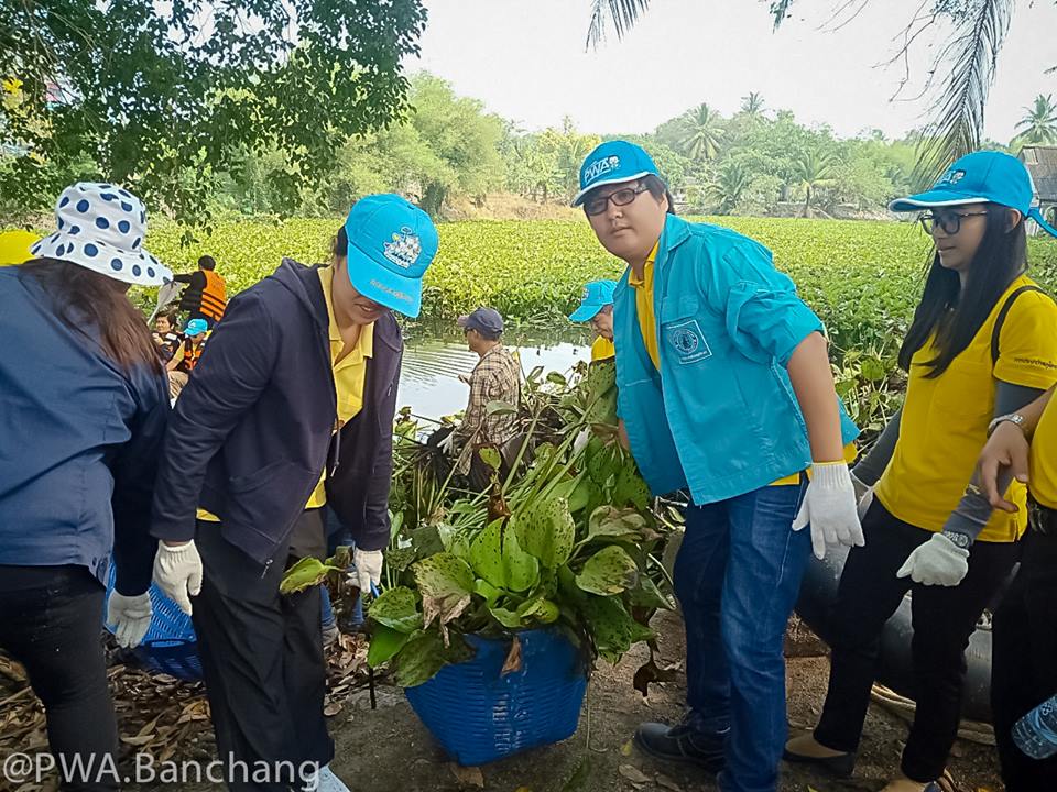 ประปาบ้านฉาง ใส่ใจแหล่งน้ำ ร่วมลอกผักตบในชุมชน
