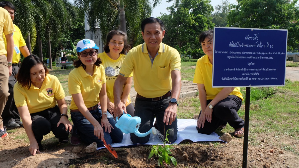 การประปาส่วนภูมิภาคสาขาขอนเเก่น(ชั้นพิเศษ) จัดกิจกรรมวันต้นไม้ประจำปีของชาติ ปลูกต้นรวงผึ้งเฉลิมพระเกียรติ พระบาทสมเด็จพระเจ้าอยู่หัวรัชกาลที่10 เนื่องในโอกาสพระราชพิธีบรมราชาภิเษก พุทธศักราช 2562