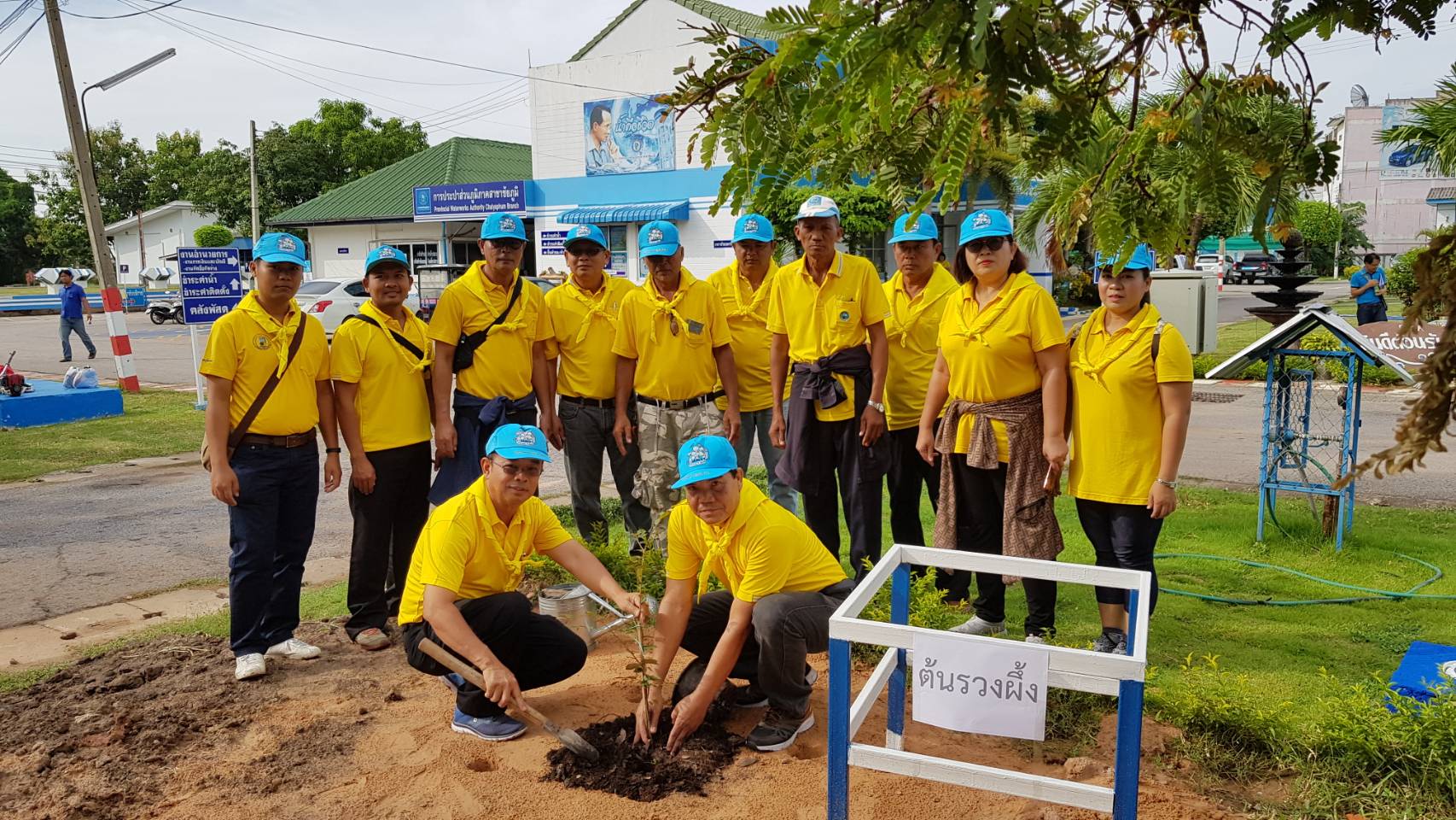 การประปาส่วนภูมิภาคสาขาชัยภูมิ ร่วมกิจกรรมปลูกต้นรวมผึ้ง และกิจกรรม จิตอาสา "เราทำความ ดี ด้วยใจ" ภายในพื้นที่เขตอุทยานแห่งชาติตาดโตน