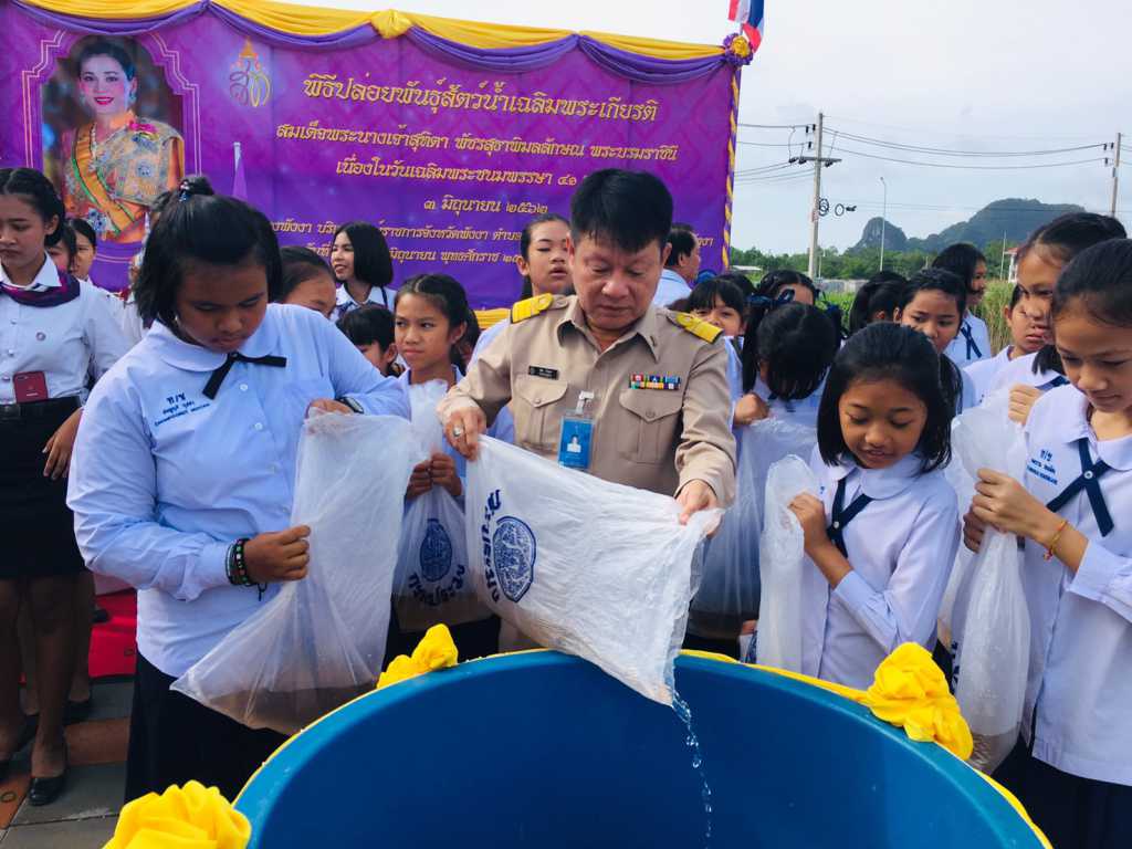 กปภ.สาขาพังงา ร่วมกิจกรรมปล่อยพันธุ์สัตว์น้ำเฉลิมพระเกียรติสมเด็จพระนางเจ้าฯพระบรมราชินี เนื่องในโอกาสเฉลิมพระชนมพรรษา 41 พรรษา