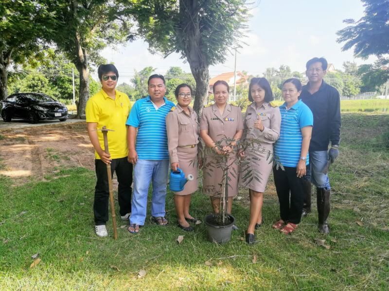 กปภ.สาขาโนนสูง จัดกิจกรรมโครงการวันรักต้นไม้ประจำปีของชาติ พ.ศ.2562 เพื่อน้อมรำลึกถึงพระมหากรุณาธิคุณของ สมเด็จพระศรีนครินทราบรมราชชนนี