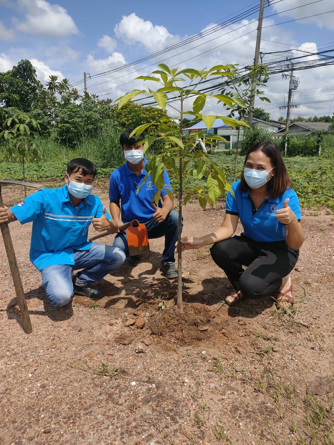 กปภ.สาขากำแพงเพชร จัดกิจกรรมวันรักต้นไม้ประจำปีของชาติ 2564