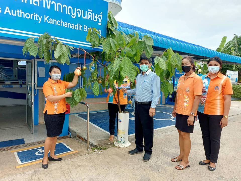 วันพฤหัสบดีที่ 21 ตุลาคม 2564 การประปาส่วนภูมิภาคสาขากาญจนดิษฐ์ โดย นายสุรพงศ์ สมหวัง ผู้จัดการ กปภ.สาขากาญจนดิษฐ์ พร้อมหัวหน้างานอำนวยการและพนักงานในสังกัด ร่วมกิจกรรมประดับพุ่มผ้าป่า ประจำปี 2564 ตามประเพณีของชาวภาคใต้
