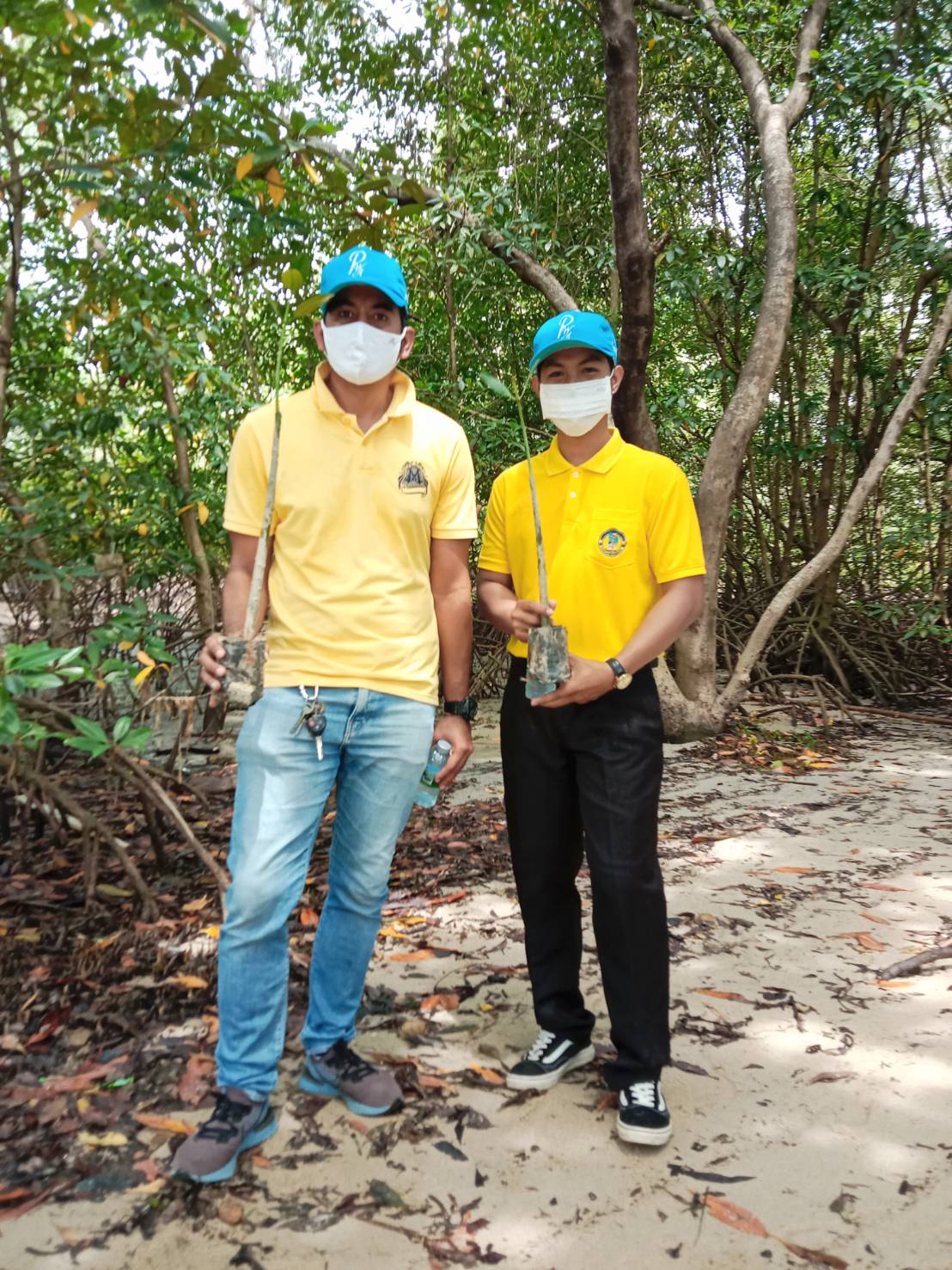 กปภ.สาขาภูเก็ต เข้าร่วมโครงการ จิตอาสารักษ์ป่าชายเลนเฉลิมพระเกียรติ