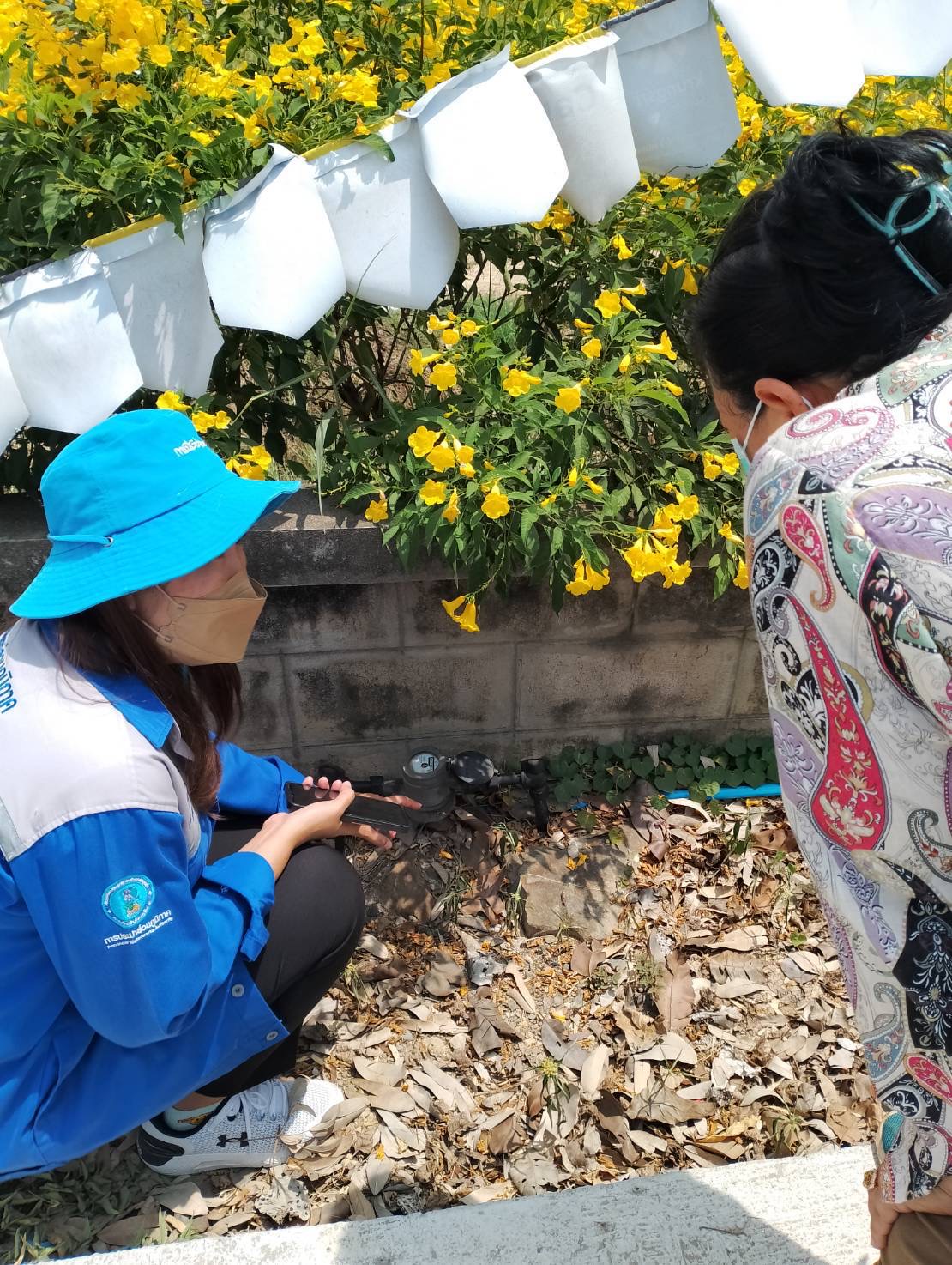 กปภ.สาขากุยบุรี ลงพื้นที่จัดกิจกรรม "เรามี Line จะบอก" แนะนำ PWA Line Official  พร้อมตรวจสอบมาตรวัดน้ำ