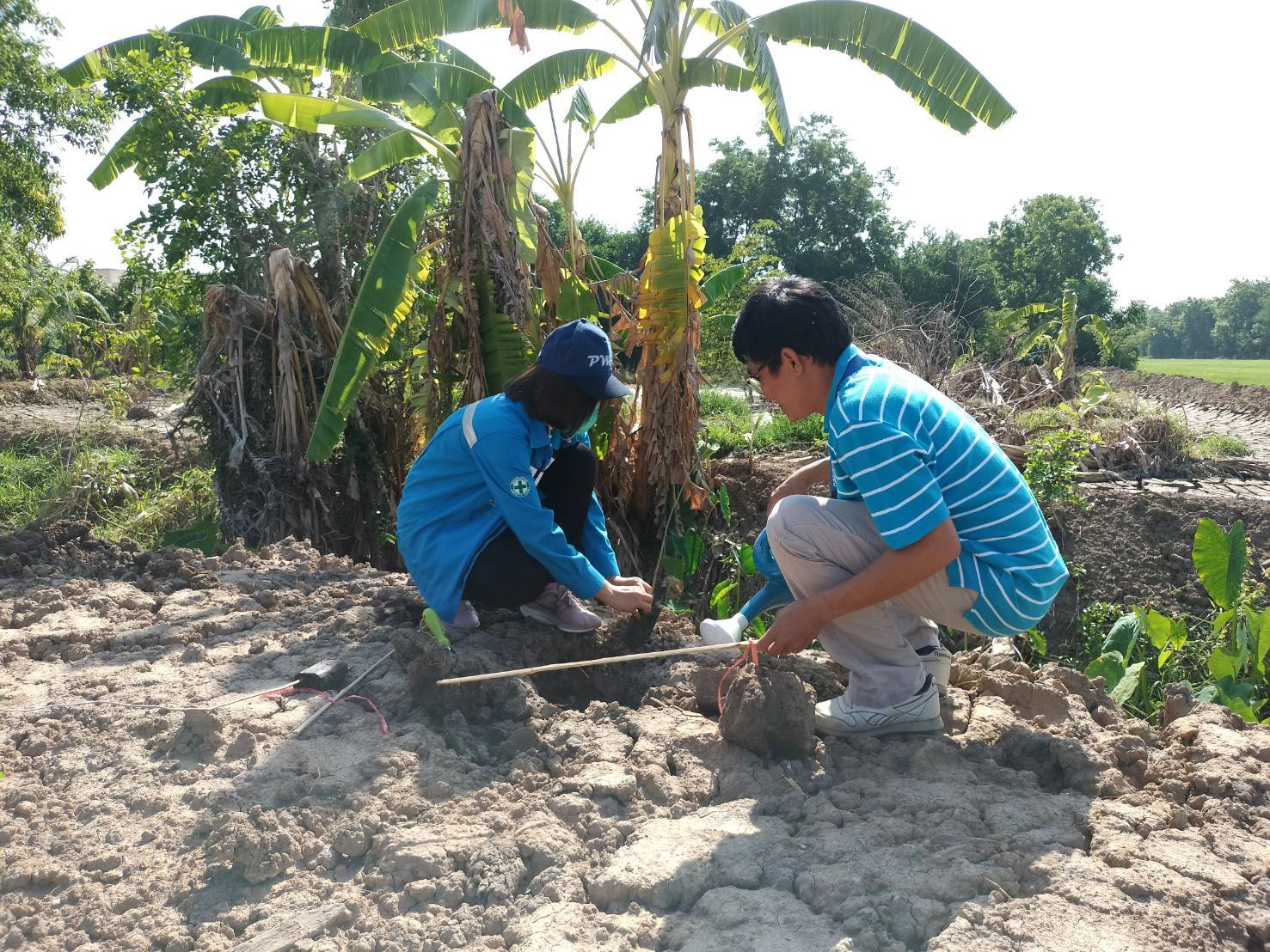 กปภ.สาขาวิเศษชัยชาญ จัดกิจกรรมปลูกต้นไม้เนื่องในวันต้นไม้ประจำปีของชาติ พ.ศ. 2566