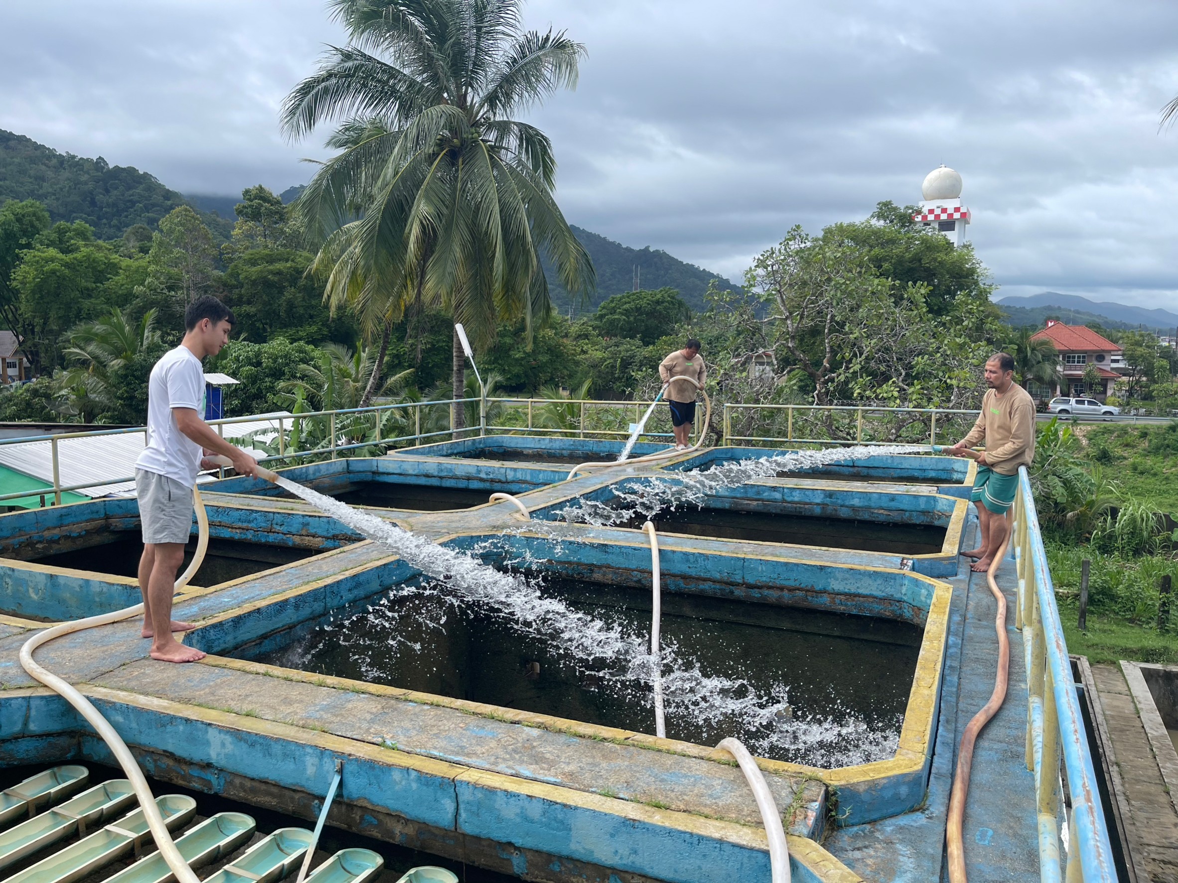 กปภ.สาขาระนอง ดำเนินการตามแผน ล้างถังตกตะกอนโรงกรองน้ำสำนักงาน