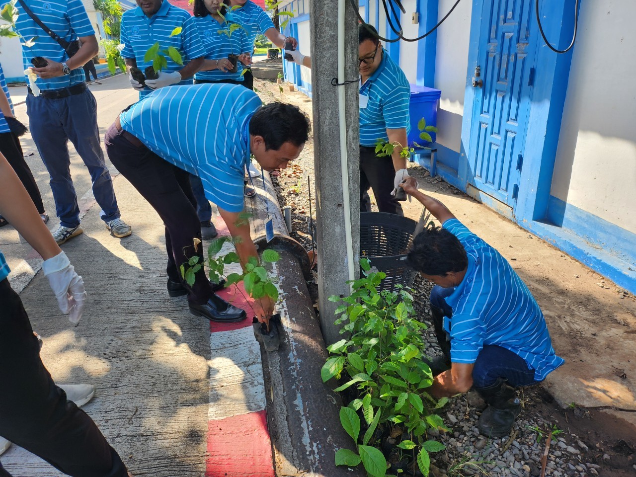 กปภ.สาขาสุราษฎร์ธานี(พ) จัดกิจกรรมกปภ.ปลูกป่าเพื่อแผ่นดิน เทิดพระเกียรติพระบาทสมเด็จพระบรมชนกาธิเบศร มหาภูมิพลอดุลยเดชมหาราช บรมนาถบพิตร (Father