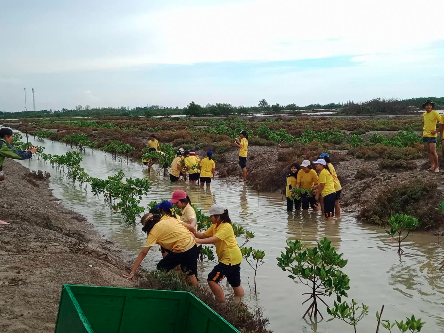 กปภ.สาขากุยบุรี ร่วมกิจกรรมจิตอาสาปลูกป่าชายเลนลดโลกร้อน ณ อุทยานแห่งชาติเขาสามร้อยยอด