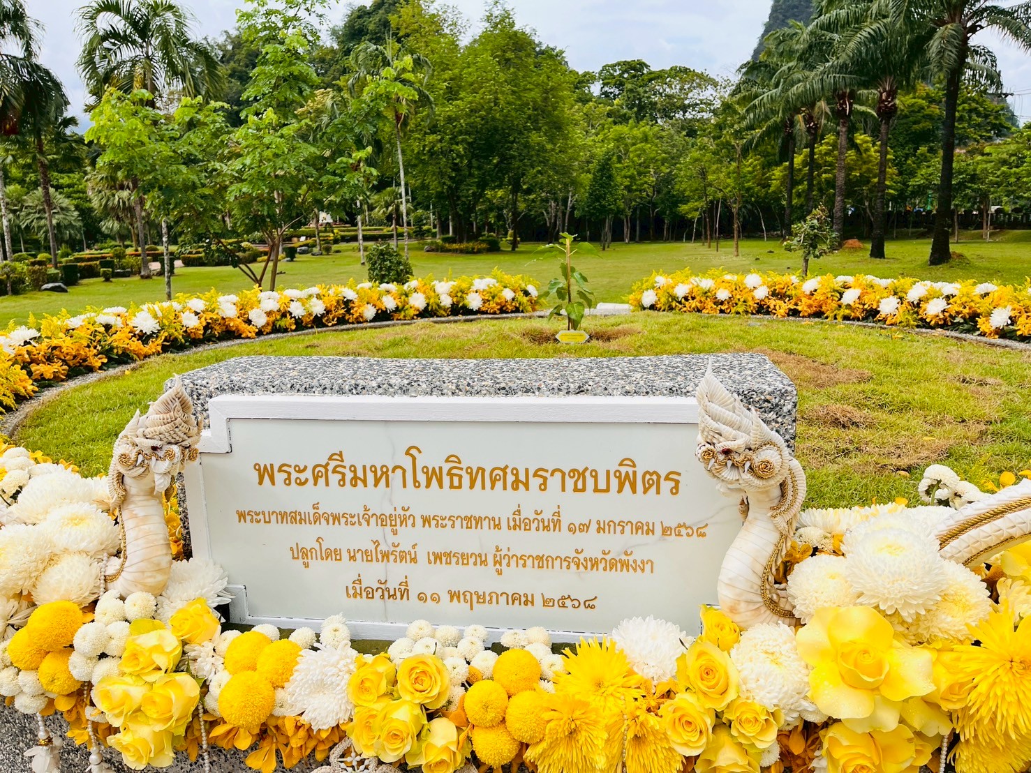 การประปาส่วนภูมิภาคสาขาพังงา เข้าร่วมพิธีปลูก พระศรีมหาโพธิทศมราชบพิตร ณ สวนสมเด็จพระศรีนครินทร์ พังงา
