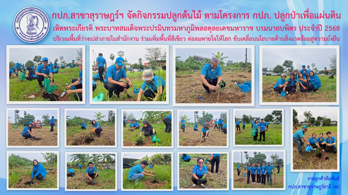 กปภ.สาขาสุราษฎร์ฯ (พ) จัดกิจกรรมปลูกต้นไม้ เนื่องในวันต้นไม้ประจำปีของชาติ เพิ่มพื้นที่สีเขียว ต่อลมหายใจให้โลก