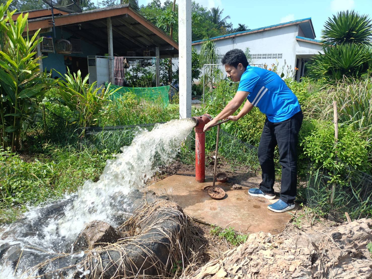 กปภ.สาขาคลองท่อมดำเนินการเปิดล้างระบายตะกอนในเส้นท่อจ่ายน้ำ (Blow off) ผ่านหัวดับเพลิง