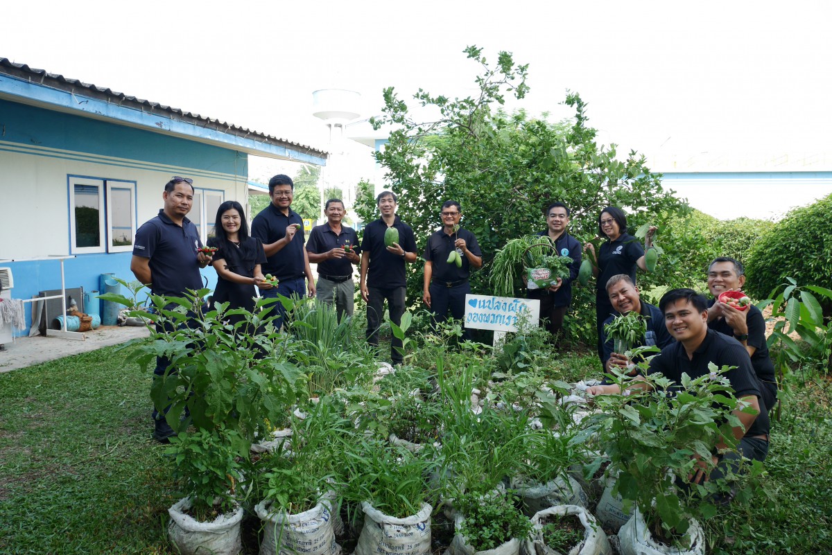 กปภ.สาขาปักธงชัย ใจดี! จัดกิจกรรม "แจกผักสดฟรี" เพียงโหลดแอปฯ PWA Plus Life หรือเพิ่มเพื่อน Line Official Account
