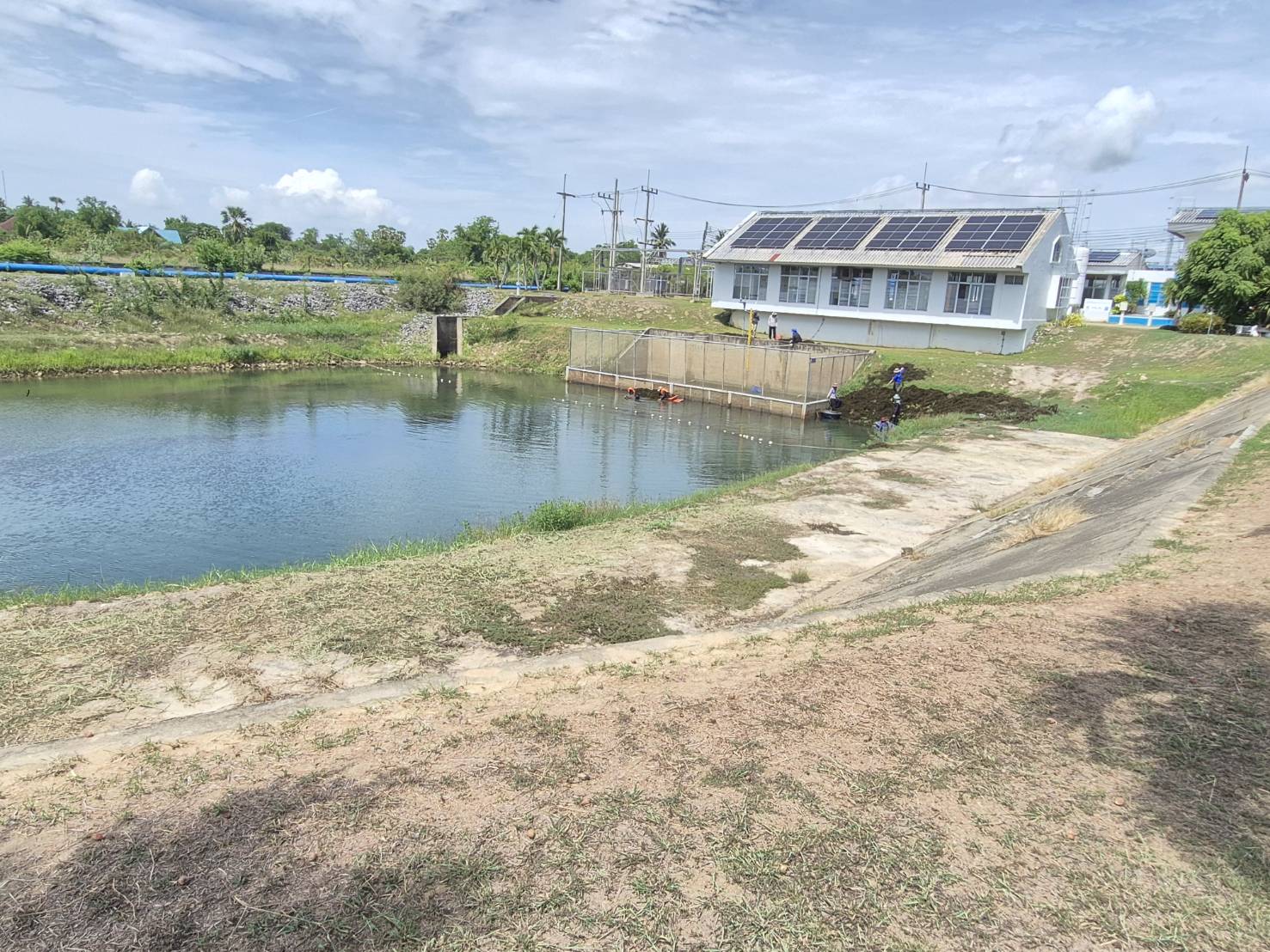 การประปาส่วนภูมิภาคสาขาเพชรบุรี ร่วมกันกำจัดวัชพืชแหล่งน้ำดิบ สถานีสูบน้ำแรงต่ำ